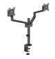 Neomounts DS60-425 - uchwyt biurkowy do dwóch monitorów 17 - 27"