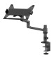 Neomounts DS20-425 - uchwyt biurkowy na laptopa 11.6 - 17.3"
