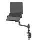Neomounts DS20-425 - uchwyt biurkowy na laptopa 11.6 - 17.3"