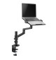 Neomounts DS20-425 - uchwyt biurkowy na laptopa 11.6 - 17.3"