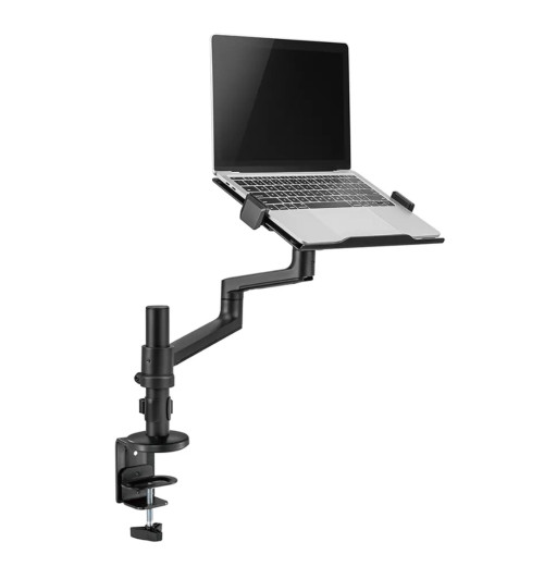Neomounts DS20-425 - uchwyt biurkowy na laptopa 11.6 - 17.3"