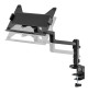 Neomounts DS20-425 - uchwyt biurkowy na laptopa 11.6 - 17.3"