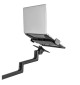 Neomounts DS20-425 - uchwyt biurkowy na laptopa 11.6 - 17.3"
