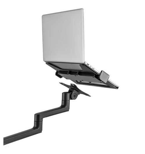 Neomounts DS20-425 - uchwyt biurkowy na laptopa 11.6 - 17.3"