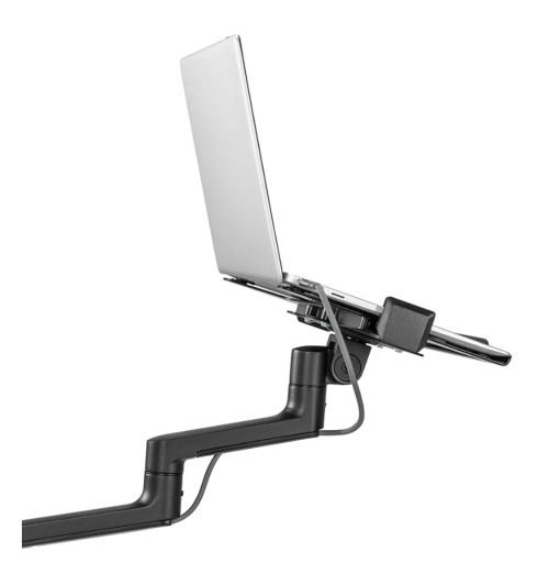 Neomounts DS20-425 - uchwyt biurkowy na laptopa 11.6 - 17.3"