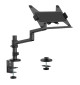 Neomounts DS20-425 - uchwyt biurkowy na laptopa 11.6 - 17.3"