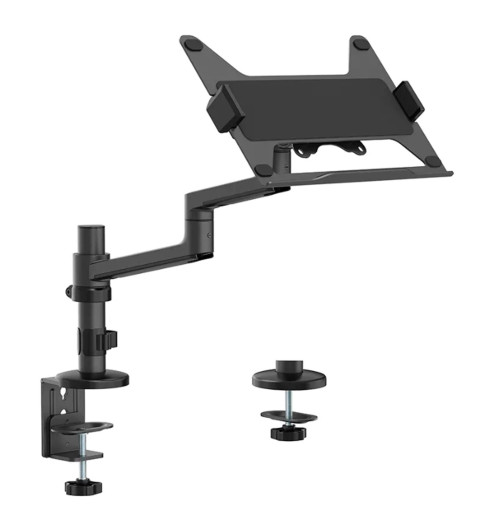 Neomounts DS20-425 - uchwyt biurkowy na laptopa 11.6 - 17.3"