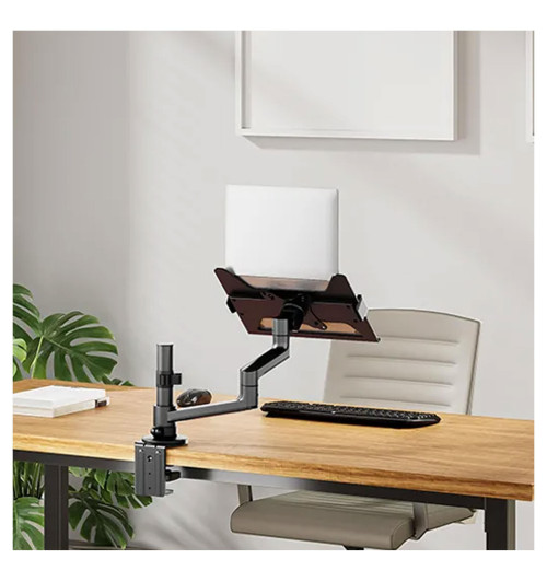 Neomounts DS20-425 - uchwyt biurkowy na laptopa 11.6 - 17.3"
