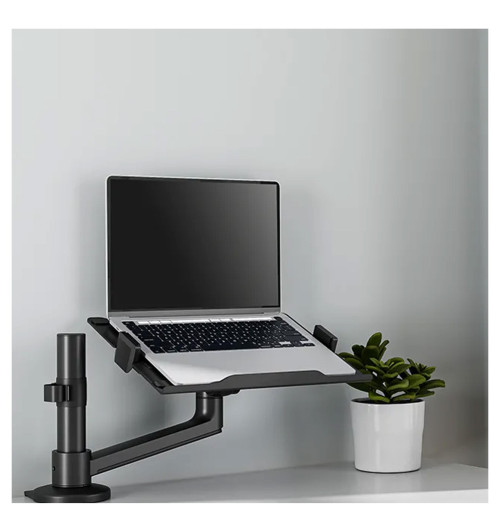 Neomounts DS20-425 - uchwyt biurkowy na laptopa 11.6 - 17.3"