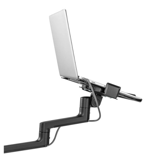 Neomounts DS20-425BL2 - uchwyt biurkowy na laptop i monitor 17 - 27"