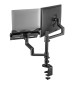 Neomounts DS20-425BL2 - uchwyt biurkowy na laptop i monitor 17 - 27"