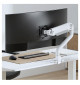 Neomounts DS70S-950 - uchwyt biurkowy do monitorów 17 - 49"
