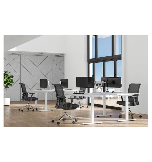 Neomounts DS70S-950 - uchwyt biurkowy do dwóch monitorów 17 - 35"