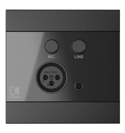 Audac WP210 - gniazdo naścienne liniowe i XLR 80x80cm