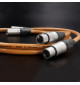Melodika BS2X Brown Sugar - Kabel interkonekt 2 x XLR - 2 x XLR