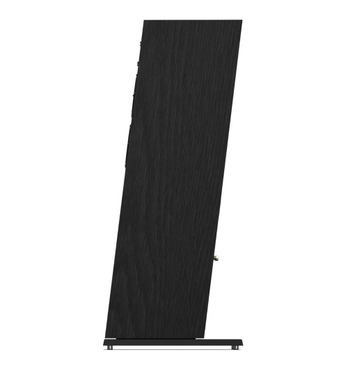Pylon Audio Diamond 25 MKII - Kolumna podłogowa