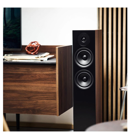 Argon Audio FORUS 55 - pasywne kolumny podłogowe (para)