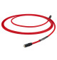 Chord ShawlineX ARAY Analogue Subwoofer Cable - Kabel subwooferowy RCA - RCA