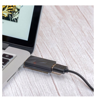 iFi Audio iSilence+ - reduktor szumów USB typ A do C