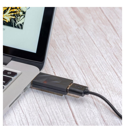 iFi Audio iSilence+ - reduktor szumów USB typ C do C