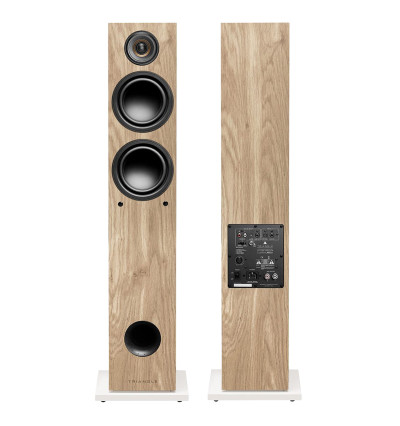 Triangle Elara Active LN05A - Kolumny aktywne podłogowe z Bluetooth