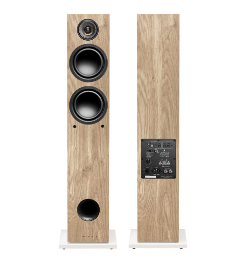 Triangle Elara Active LN05A - Kolumny aktywne podłogowe z Bluetooth
