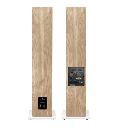 Triangle Elara Active LN05A - Kolumny aktywne podłogowe z Bluetooth