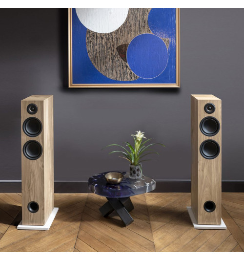 Triangle Elara Active LN05A - Kolumny aktywne podłogowe z Bluetooth