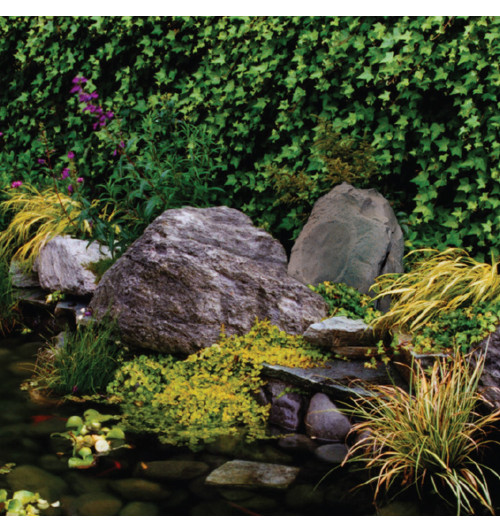 Paradigm Rock Monitor 80-SM - Wodoodporny głośnik ogrodowy Mono / Stereo