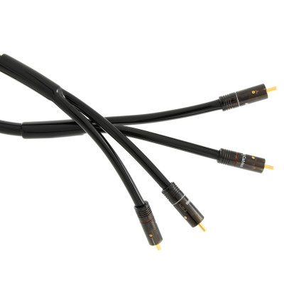 Atlas Hyper DD Duo Integra - Kabel interkonekt audio 2 RCA - 2 RCA (Cinch)