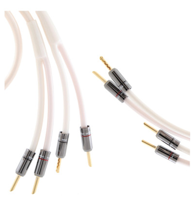 Atlas Equator 2.0 - kabel głośnikowy z wtykami bananowymi