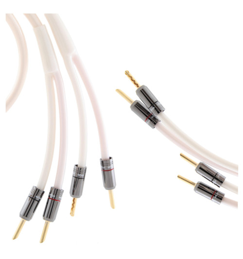 Atlas Equator 2.0 - kabel głośnikowy z wtykami bananowymi