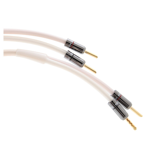 Atlas Equator 2.0 - kabel głośnikowy z wtykami bananowymi