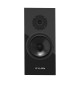 Pylon Audio Diamond Monitor 18 MkII – kolumna podstawkowa