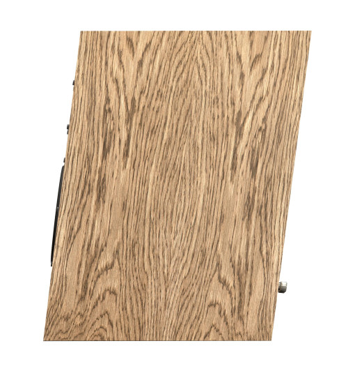 Pylon Audio Diamond Monitor 18 MkII – kolumny podstawkowe (para)