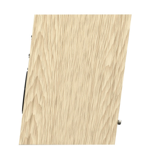 Pylon Audio Diamond Monitor 18 MkII – kolumny podstawkowe (para)