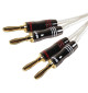 Monkey Cable MCTSB25 Concept Silverback - Komplet konfekcjonowanych kabli głośnikowych 2x2.1mm2 - 2.5m
