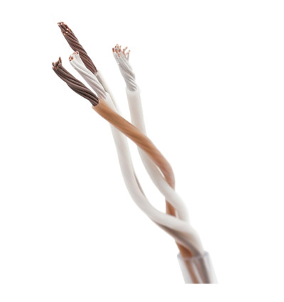 Melodika BSC2225 (BSC-2225) Brown Sugar - kabel głośnikowy