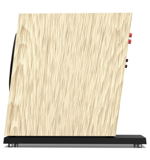 Pylon Audio Diamond Sub – Subwoofer aktywny