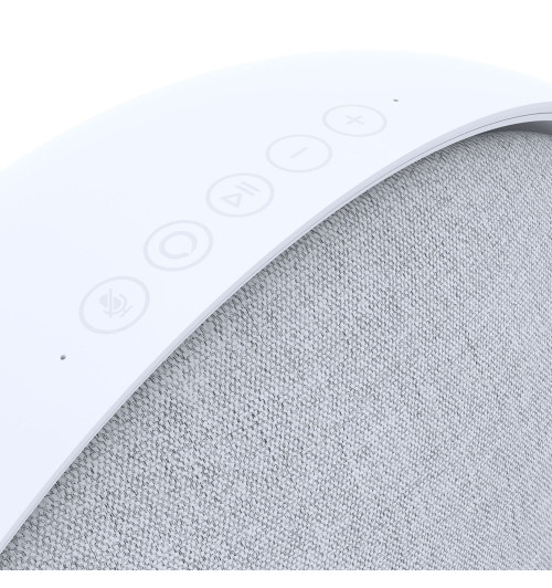 Defunc Home Large - Aktywny głośnik multiroom z odtwarzaczem sieciowym Wi-Fi, AirPlay2