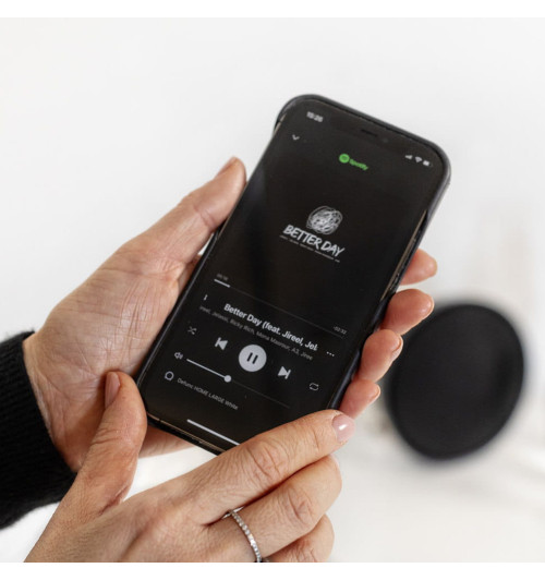 Defunc Home Small - Aktywny głośnik multiroom z odtwarzaczem sieciowym Wi-Fi, AirPlay2 i Bluetooth 5.0