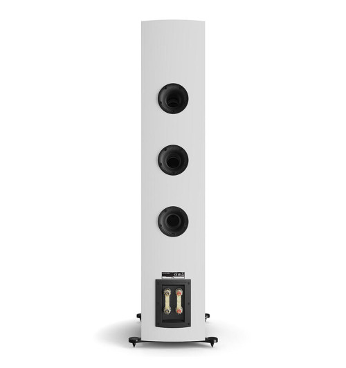 Dali Rubikore 8 - Kolumna głośnikowa podłogowa