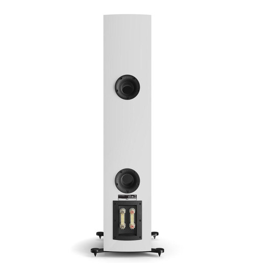Dali Rubikore 6 - Kolumna głośnikowa podłogowa