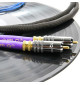 Tellurium Q Black II Turntable RCA - Kabel gramofonowy 2x RCA - 2x RCA z uziemieniem 2,5m