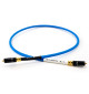 Tellurium Q Blue II Waveform II Digital RCA - Kabel cyfrowy 1x RCA - 1x RCA
