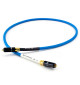 Tellurium Q Blue II Waveform II Digital RCA - Kabel cyfrowy 1x RCA - 1x RCA