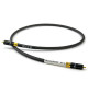 Tellurium Q Black II Waveform HF Digital RCA - Kabel cyfrowy 1x RCA - 1x RCA