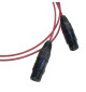 Van den Hul The Orchid - Zbalansowany kabel interkonekt audio 2 XLR - 2 XLR