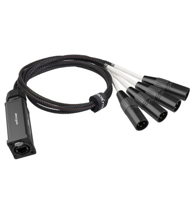 Konwerter adapter DMX męski na RJ45 żeński Roxtone PS4M | AVstore.pl