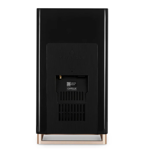 Triangle Capella - Aktywne kolumny podstawkowe z Bluetooth 5.0 aptX, Wi-Fi, WiSA + Stereo HUB